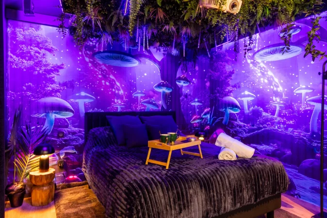 Suite immersive inspirée du film avatar. Jeux de lumières phosphorescentes, ambiance intimiste. plateau de bienvenue avec cadeau voyageurs